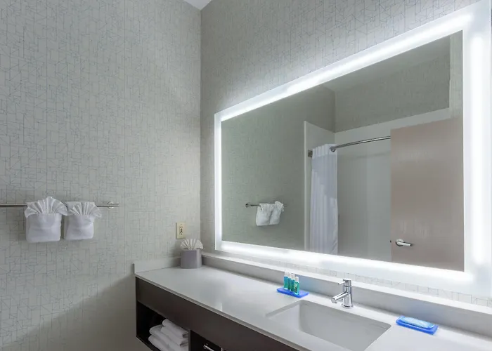 Express - Ohio Expo Center By Ihg Hotel 3*