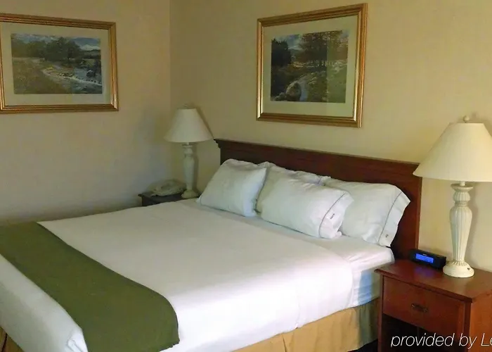 Express - Ohio Expo Center By Ihg Hotel 3*